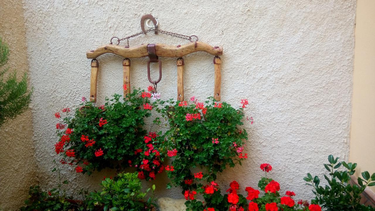 B&B A Casa Di Nonna Massa d'Albe エクステリア 写真