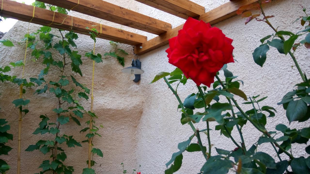 B&B A Casa Di Nonna Massa d'Albe エクステリア 写真