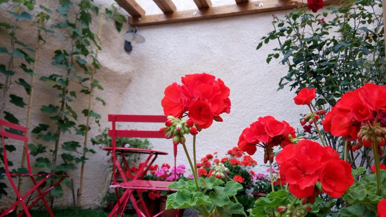 B&B A Casa Di Nonna Massa d'Albe エクステリア 写真